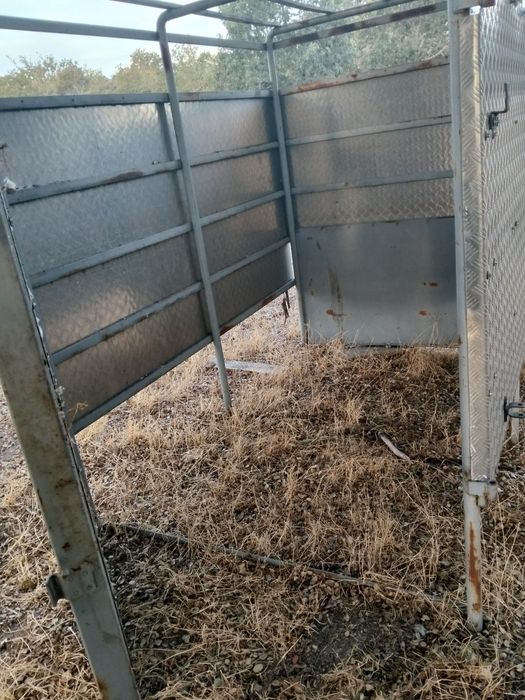Caixa de transporte de animais
