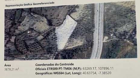 Terreno rústico com viabilidade de construção em Celorico da Beira