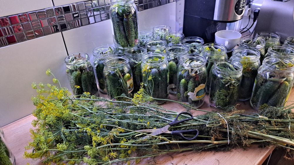 Buraczki domowej roboty i nie tylko...