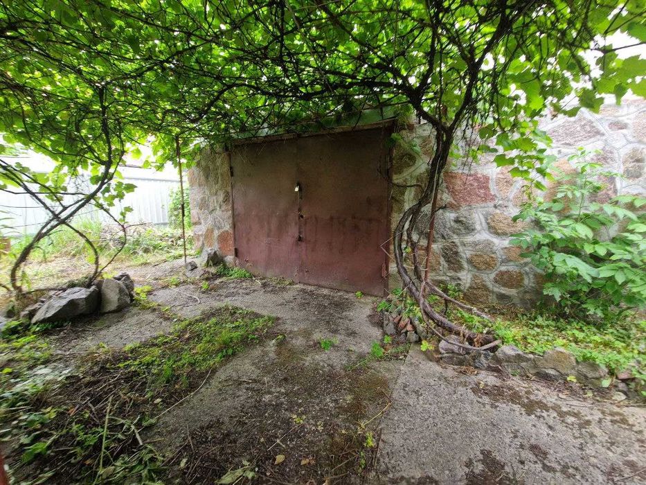 Затишна дача біля соснового лісу с. Любимівка