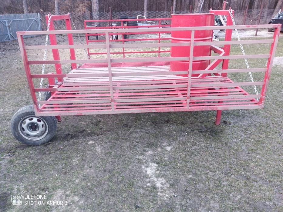 Scelarka do truskawek