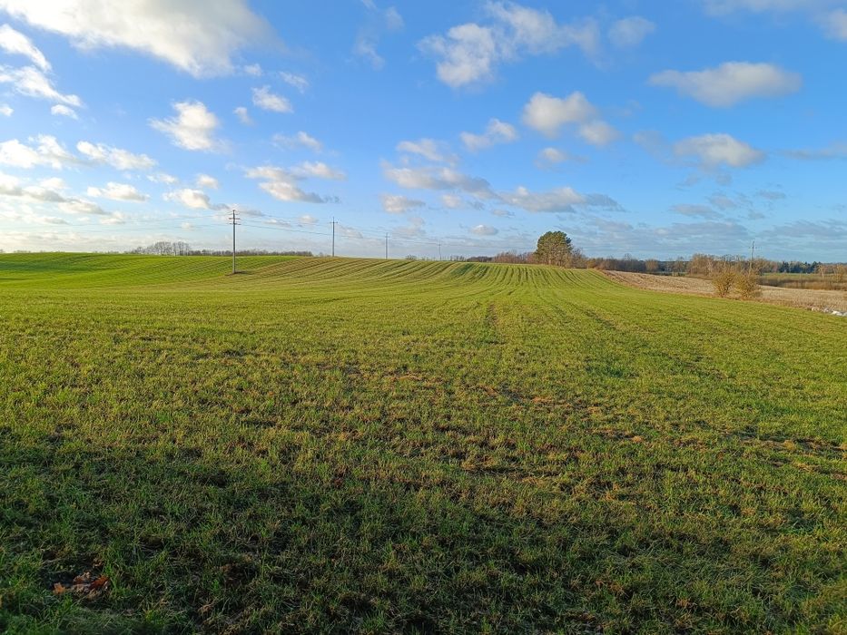Ziemia rolna 12,55 ha - Widok 5