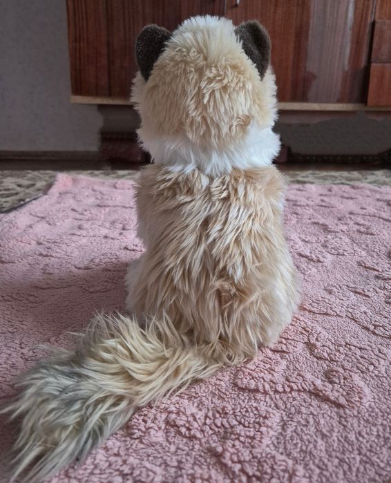 Douglas, іграшка м'яка. Дуглас, реалістичний кіт рєгдолл.