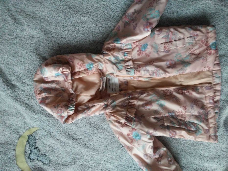 Kurteczka przejściowa coccodrillo 68 + gratisy