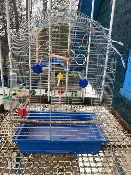 Клітка для попуги