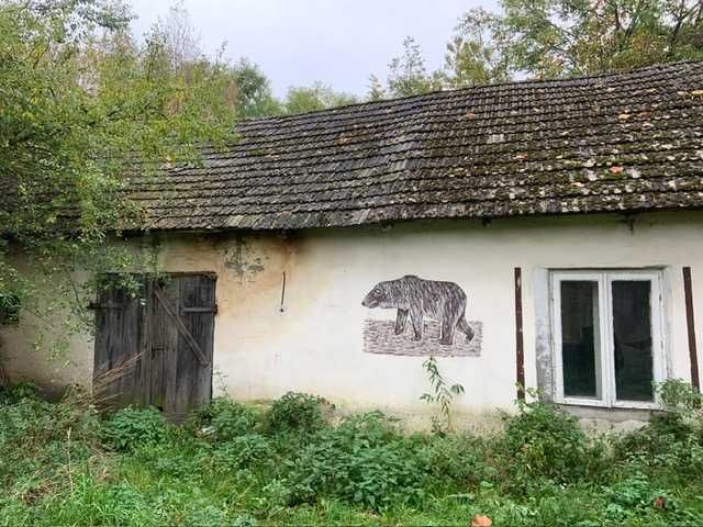Działka 1,13 ha z domem i naturalnym stawem – zielona oaza blisko Kalisza - Widok 4