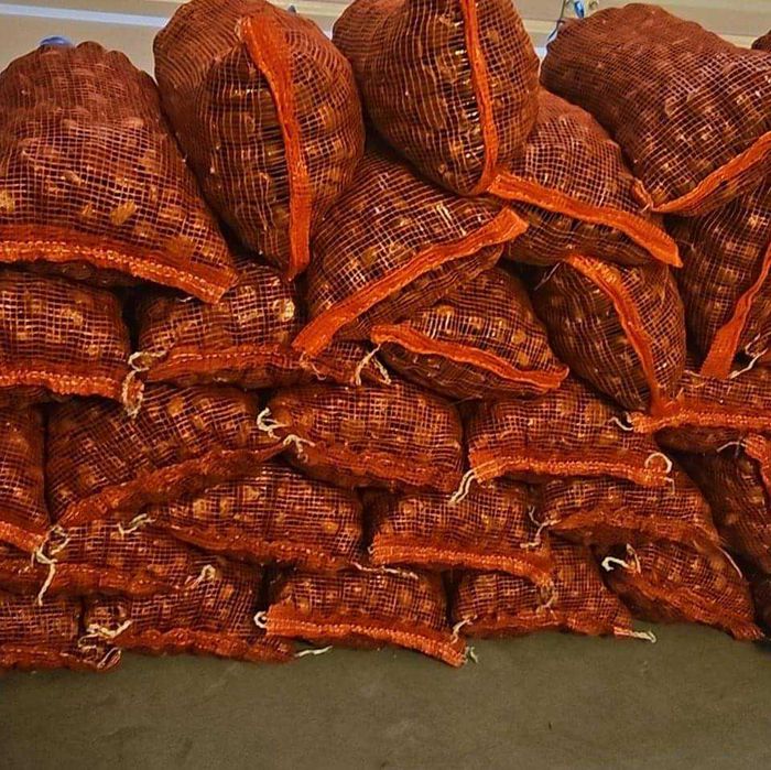 vendo castanhas de carrazedo de montenegro