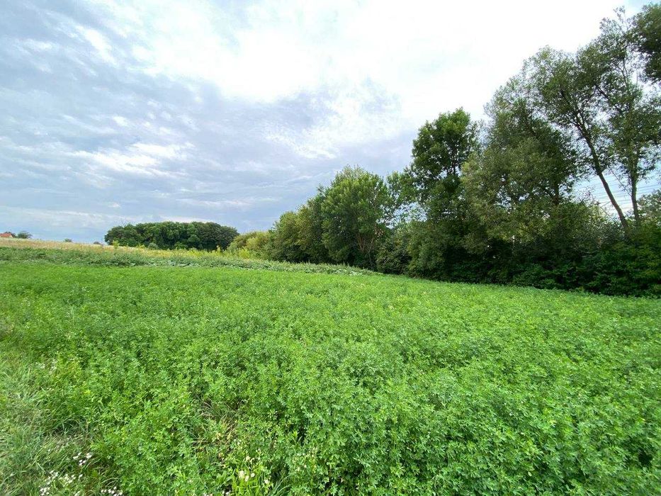Продаж земельної ділянки Великі Гаї $25 000