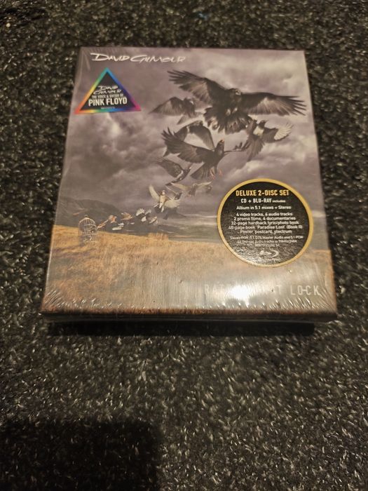 David guilmour deluxe e R.E.M.deluxe