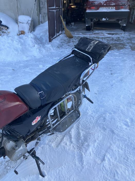 Продам альфа мустанг