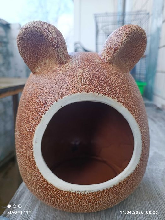 Будинок для купання гризунів