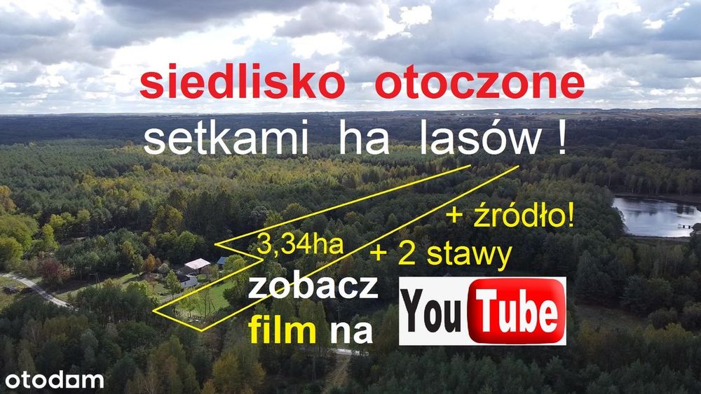 siedlisko w lesie, żródło, 2 stawy, przysiółek - na końcu niczego!