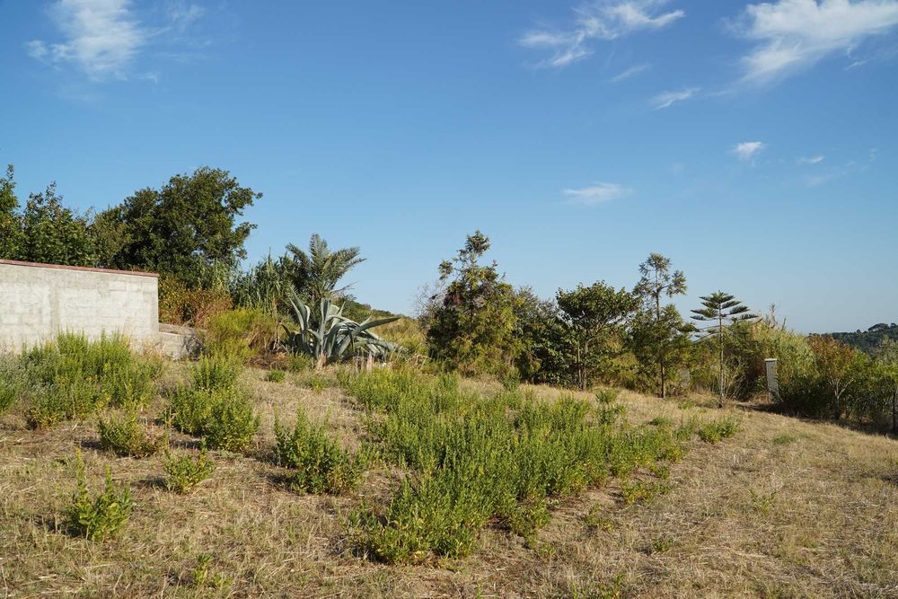 Vende-se lote terreno na Quinta da Aliança - S. João dos Montes