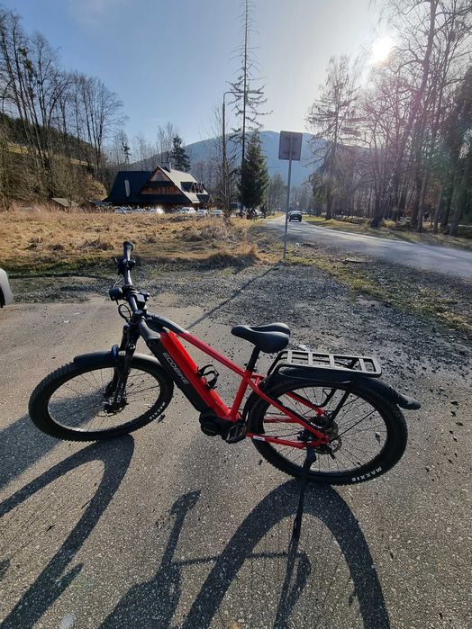 Rower elektryczny Ecobike RX500 suv 17 cali, faktura