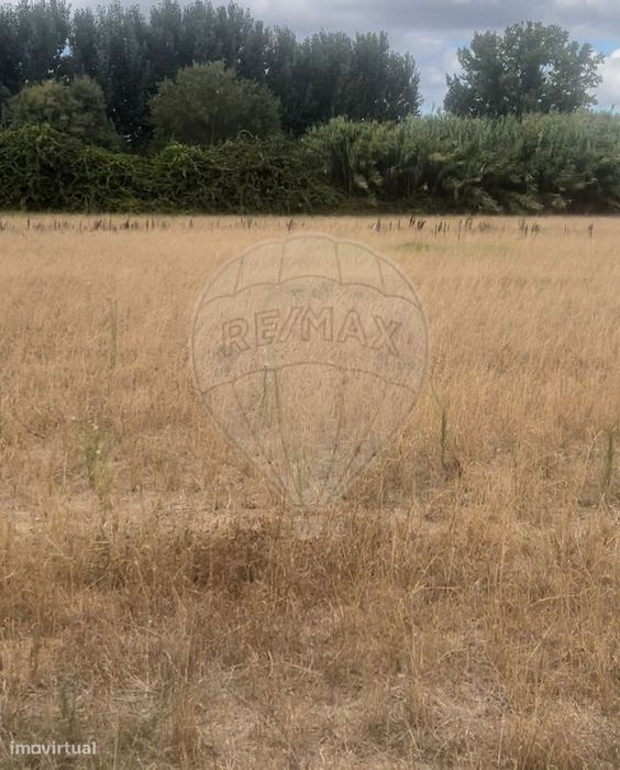 Terreno  para venda