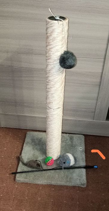 Кошачьи когтеточки