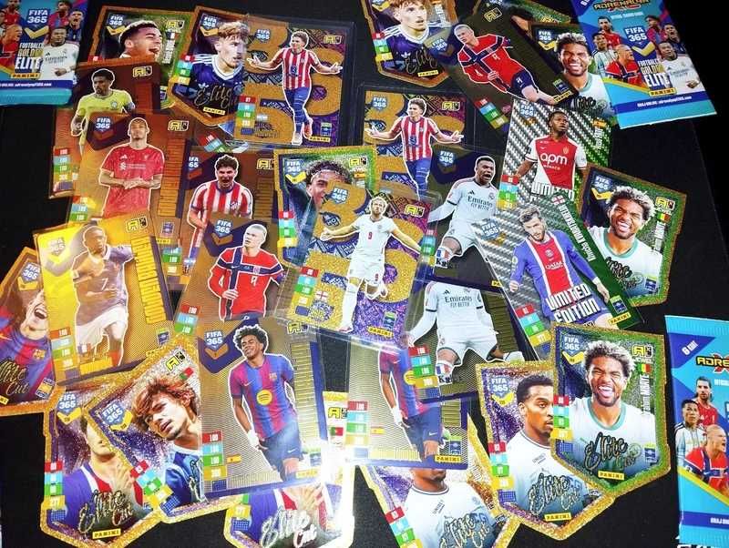 Karty Panini FIFA 356 2027