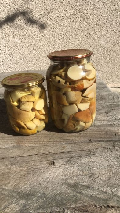 Гриби мариновані білі  0.5 л