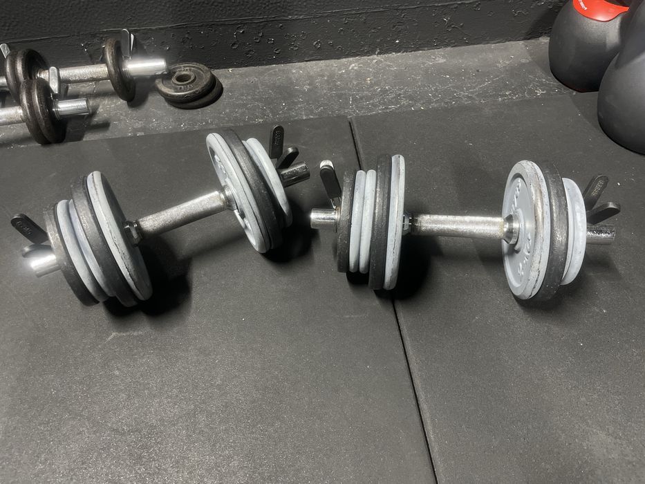 Halteres ajustáveis – 2 pares