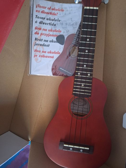 Conjunto de "ukulele"