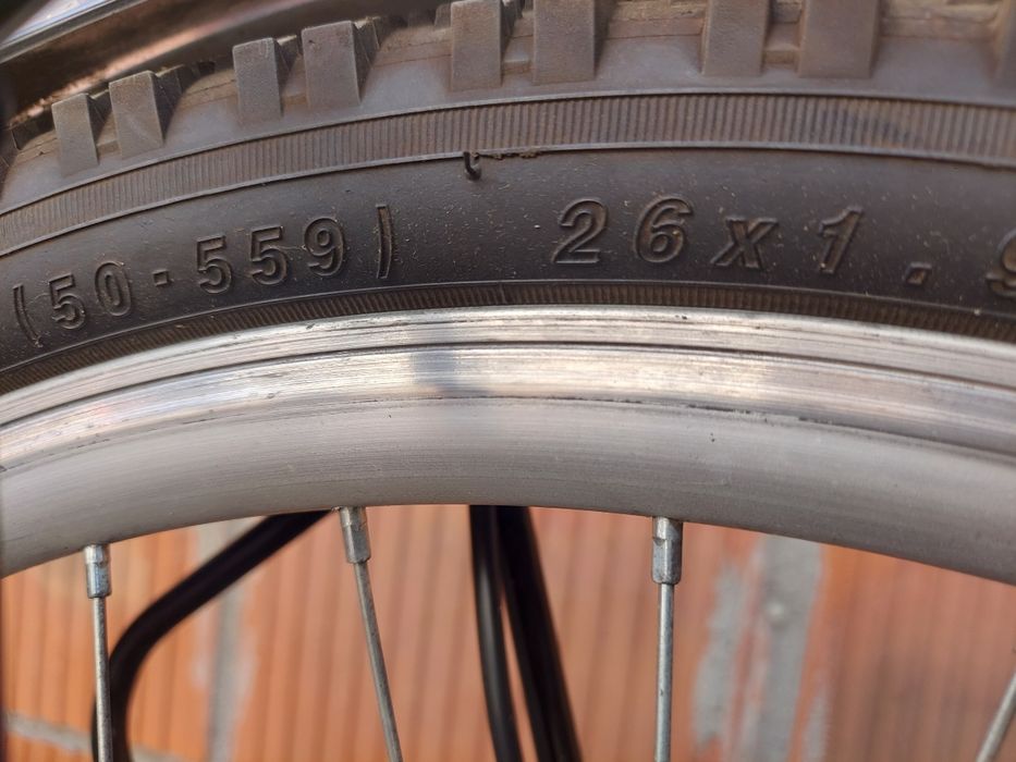 Arkus classic 1000