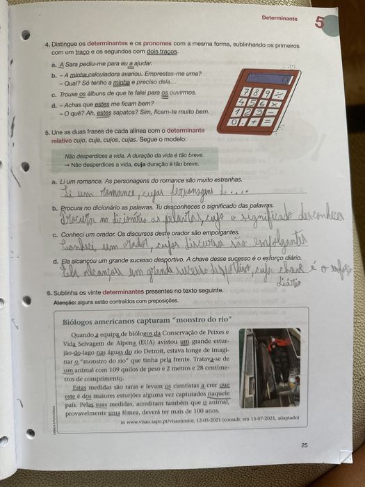 Livros escolares 8o Ano - Livro aberto 8