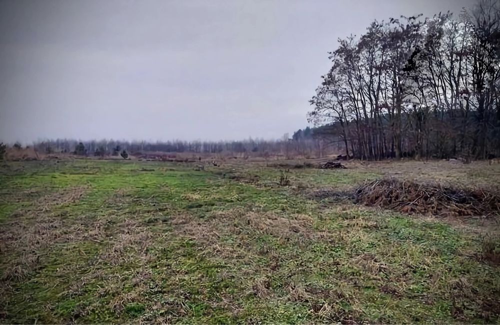 Działka rolna Edwardowo, Mszcznów, Mazowieckie