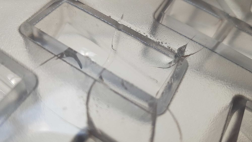 Полікарбонатна форма для цукерок,  для шоколаду