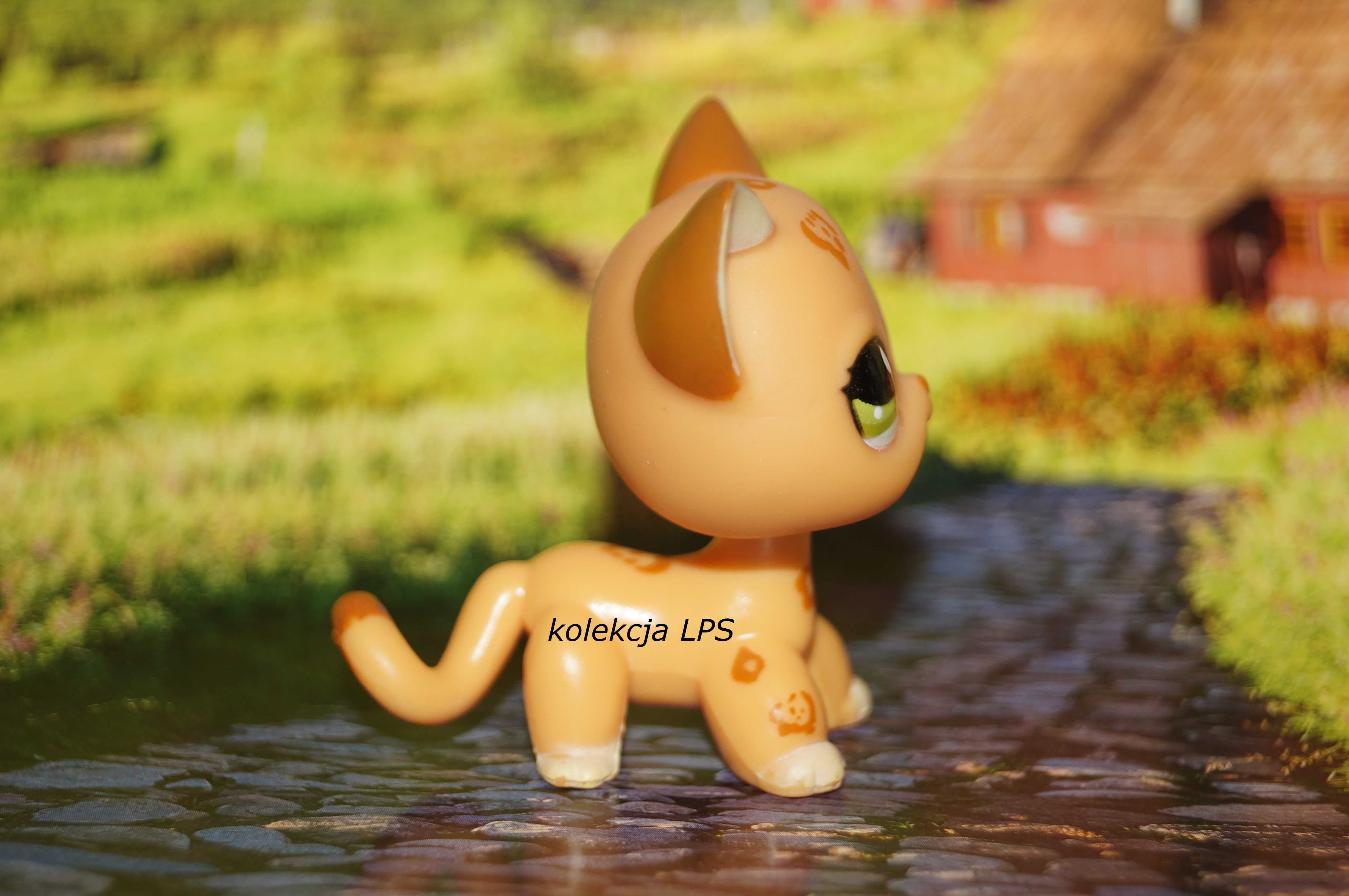 LPS Littlest Pet Shop shorthair 1120 oryginalny kotek orygina POP Rybnik OLX.pl