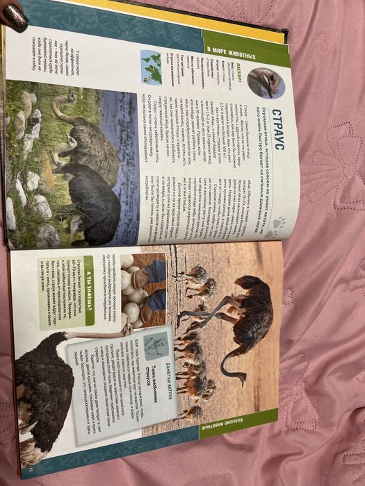 Книжка про тварин на російській мові