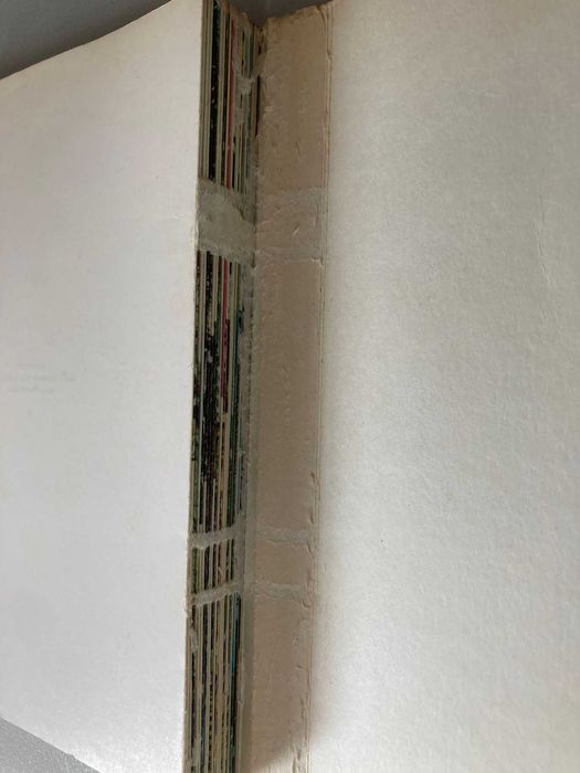 Plantas e Flores Madeira