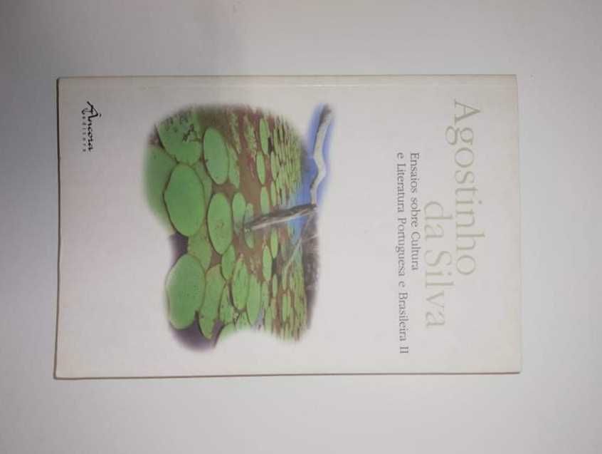 Ensaio sobre cultura e literatura Portuguesa e Brasileira II