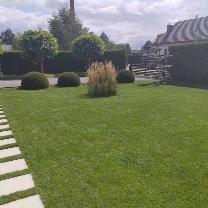 Przycinanie i formowanie  krzewów / żywopłotow