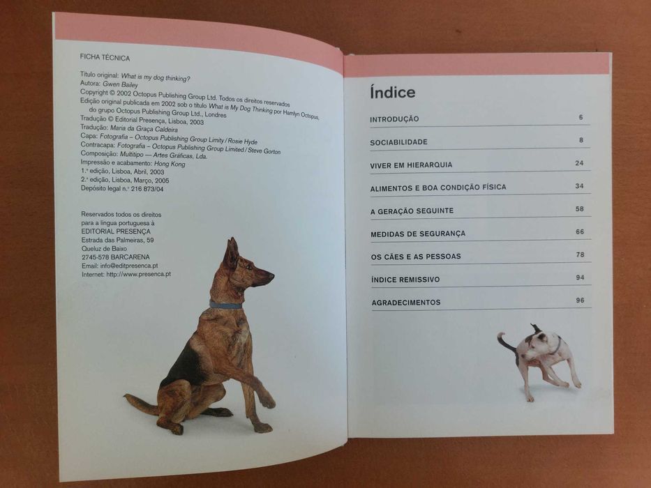 Livro - O que é que o meu cão está a pensar? - Gwen Bailey