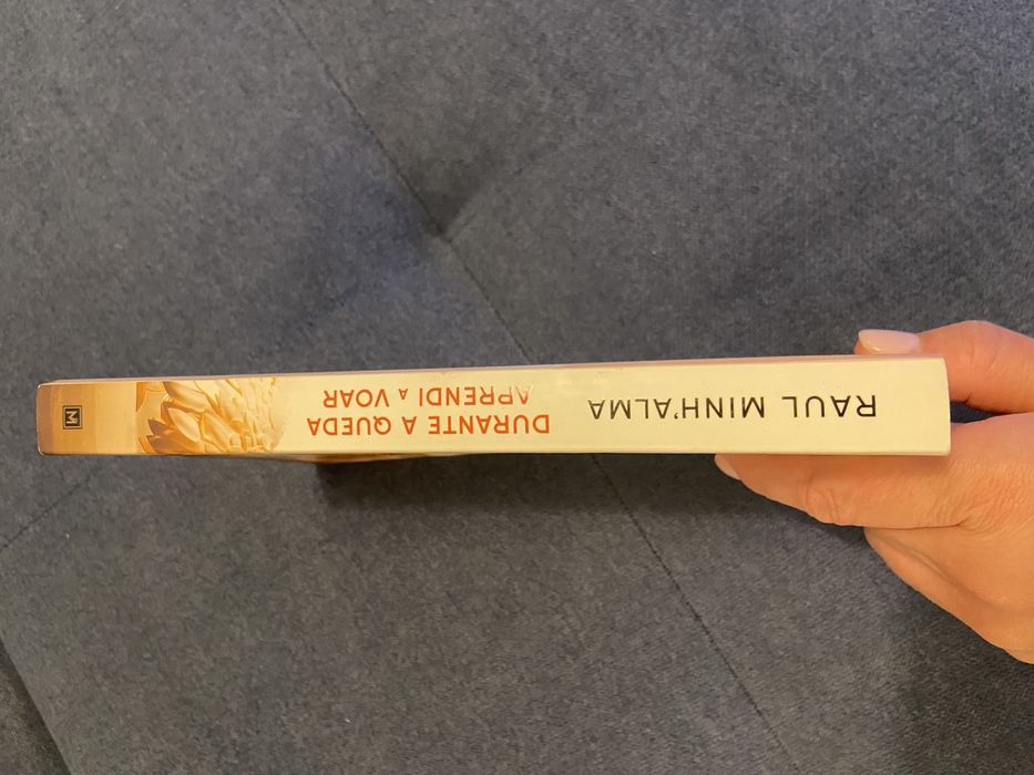 Livro: Durante a queda aprendi a voar