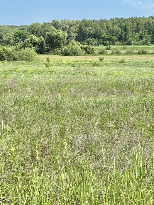 Продам 82сотки землі !!!  с.Мироцьке