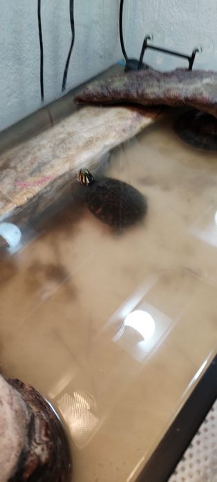 Z wodno lodowy parka