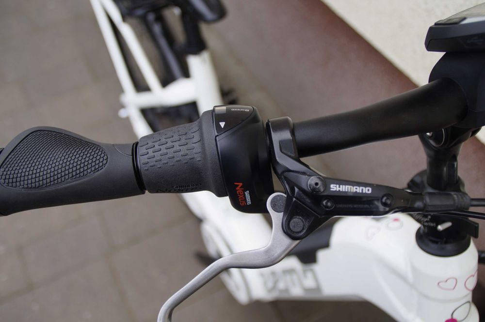 Rower elektryczny System Bosch napęd pasek piasta 8 biegowa