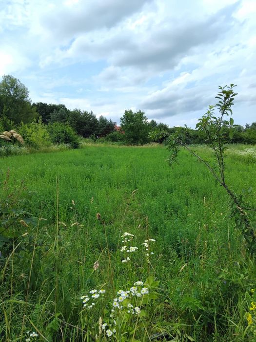 Земельна ділянка біля  лісувід Власника!!