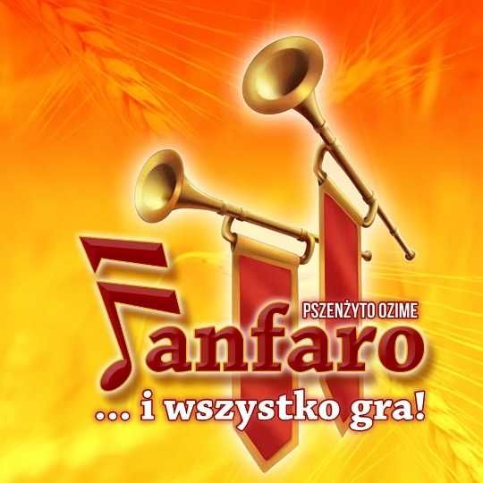 Pszenżyto ozime FANFARO kwalifikowany materiał siewny C1 kwalifikat