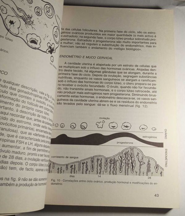 A rapariga ao encontro do futuro, de Romano e Patrícia Forleo