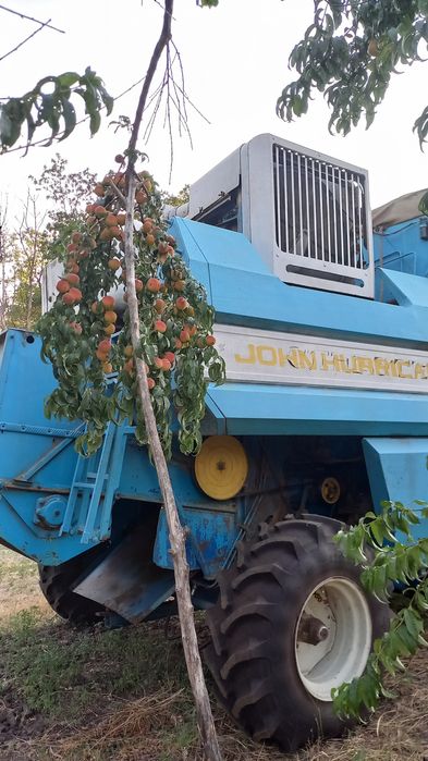 Уборка зерновых. Збирання врожаю пшениці