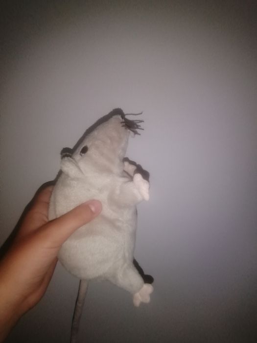 Pluszak szczur szary