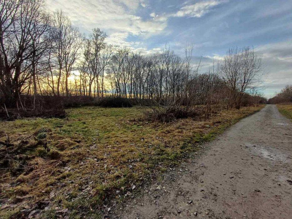 Продаж ділянки с/г 24сот в с.Домажир