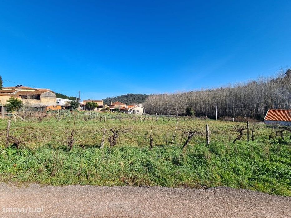 Terreno para construção na Piedade - Espinhel (Águeda)