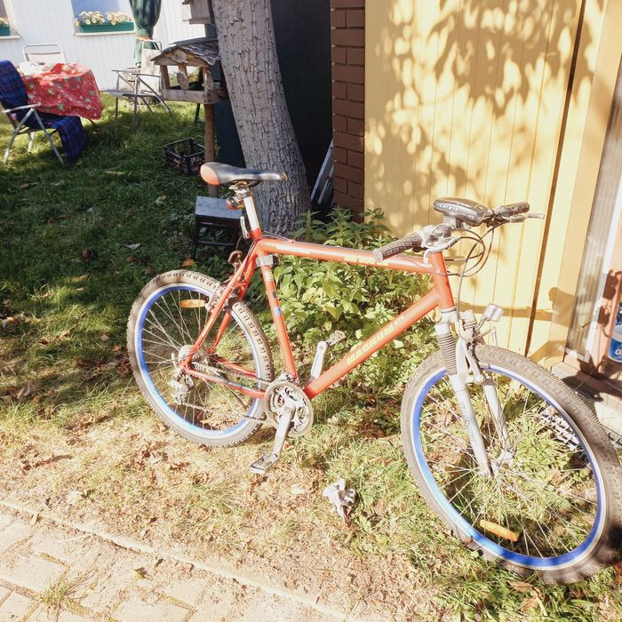 Rower męski "Magnum"