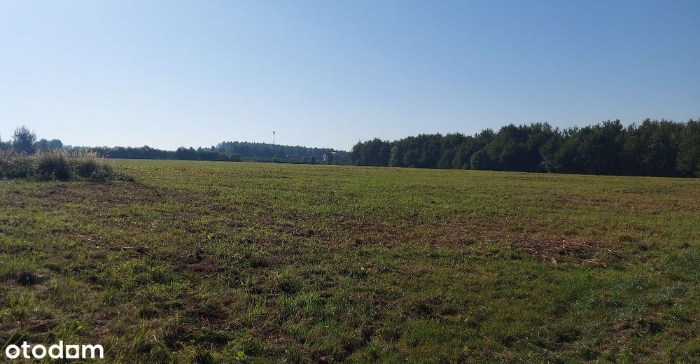 Działka budowlana, Mogielnica, okolice Grójca - Widok 2