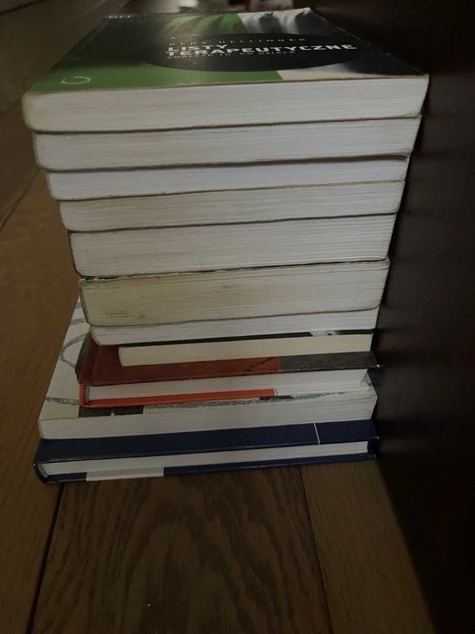 Bert Hellinger 11 Dlaczego właśnie ja, Miłośc Ducha, Wielki konflikt