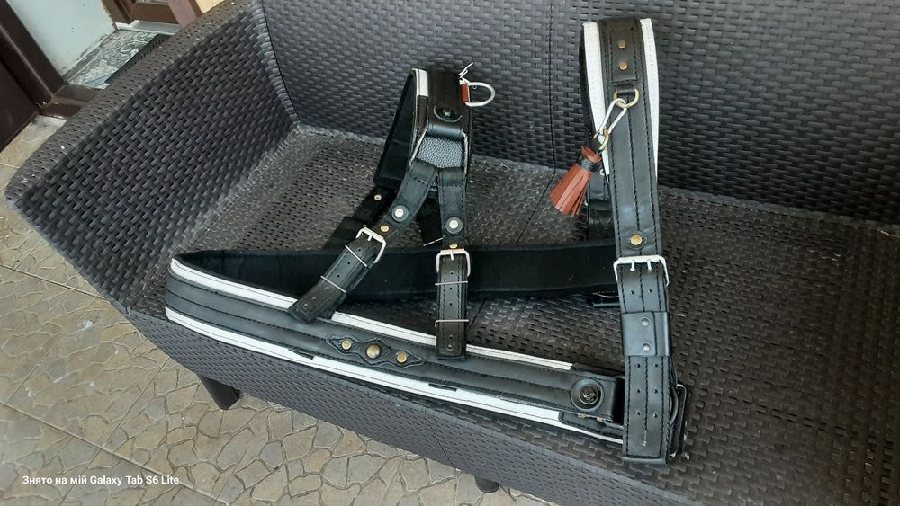 Шлея на коня з пожарного шланга