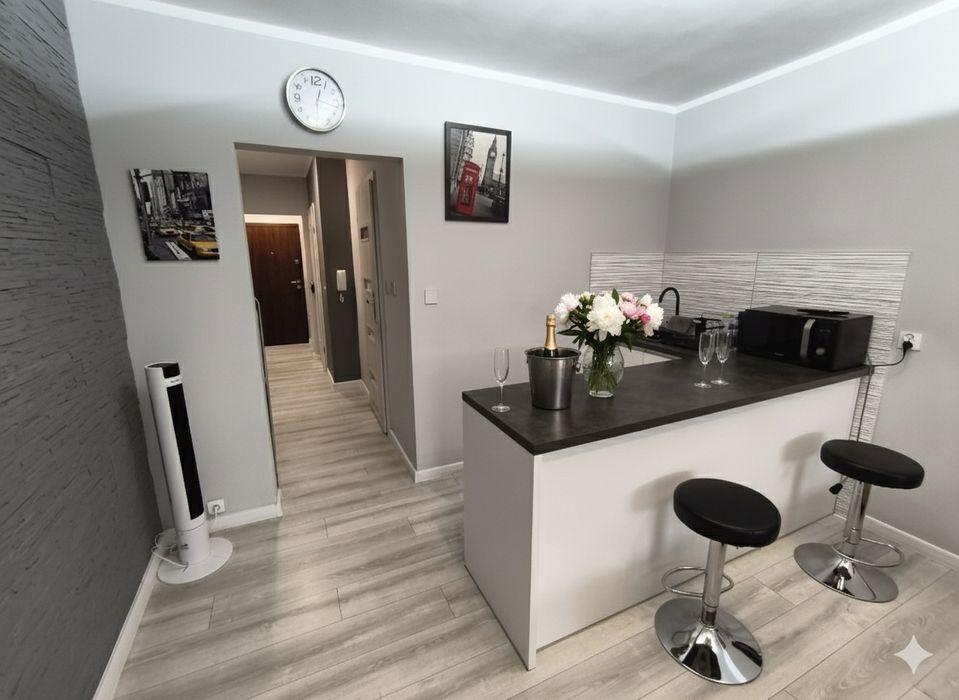 24/7 APARTaMENT SILVER na doby promocja BLIK